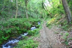 randonnée à l'Ursuya - ruisseau dans la forêt