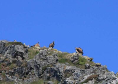 Randonnée a l'Haltzamendi