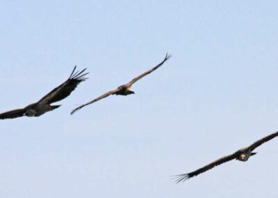 Randonnée a l'Haltzamendi