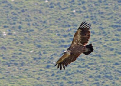 Randonnée a l'Haltzamendi