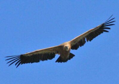 Randonnée a l'Haltzamendi