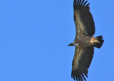 Randonnée a l'Haltzamendi