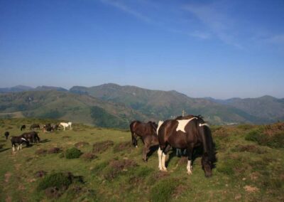 Randonnée a l'Haltzamendi
