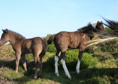 Randonnée a l'Haltzamendi