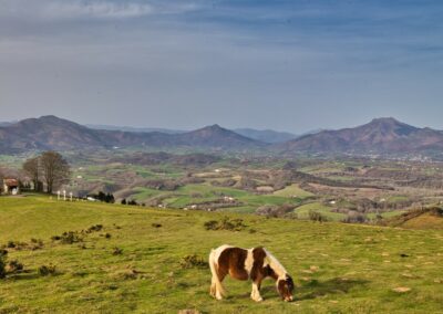 Randonnée au Mondarrain depouis Ainhoa