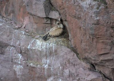 Randonnée aux Penas d'Itsusi