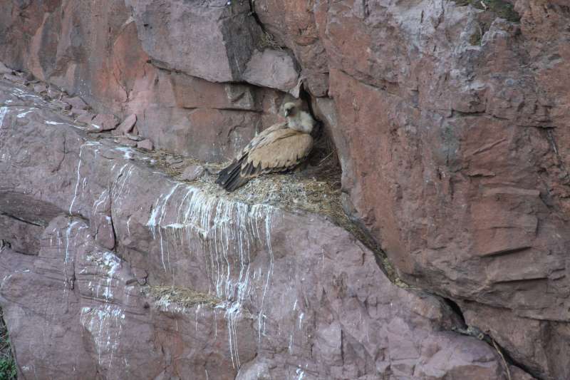 Les Penas d&rsquo;Itsusi (depuis Bidarray)