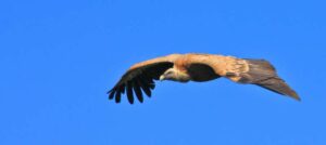 randonnée à l'Irubelakaskoa