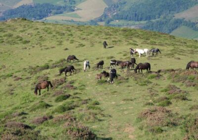Randonnée a l'Haltzamendi