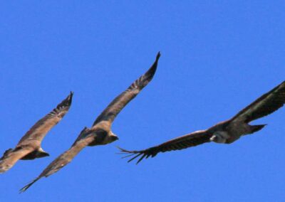 Randonnée a l'Haltzamendi
