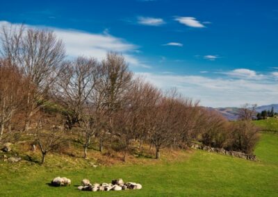 randonnées à la Rhune depuis Sare