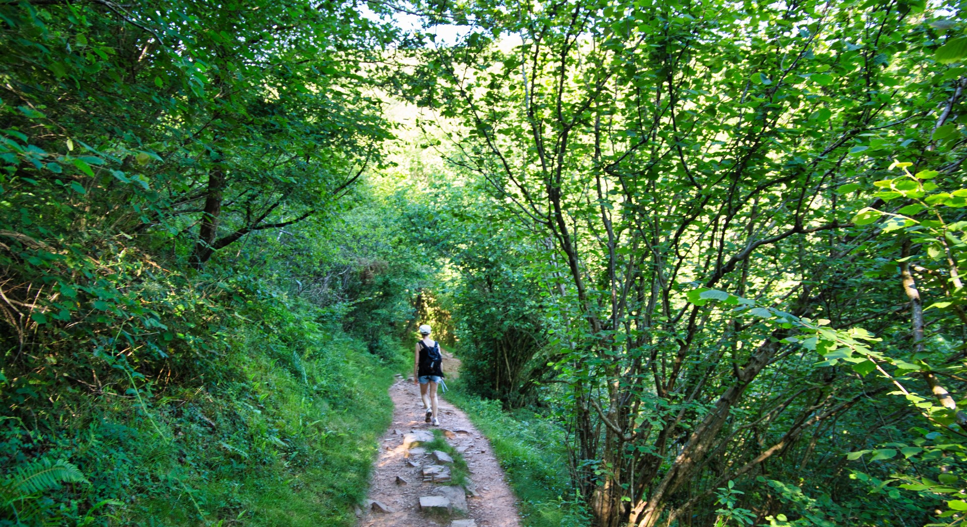 IMG_9057 (Grand) La Rhune depuis le col de St Ignace