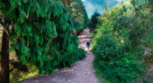 randonnées à la Rhune depuis le col de St Ignace