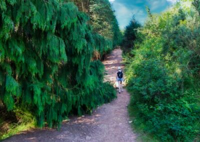 randonnées à la Rhune depuis le col de St Ignace