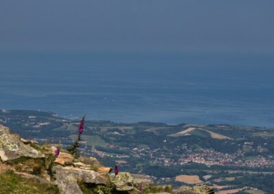 randonnées à la Rhune depuis le col de St Ignace