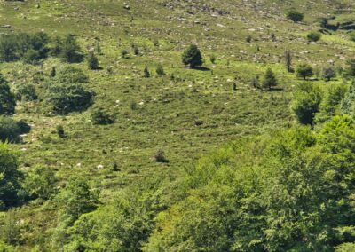 randonnées à la Rhune depuis le col de St Ignace