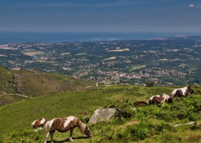 randonnées à la Rhune depuis le col de St Ignace