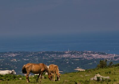 randonnées à la Rhune depuis le col de St Ignace