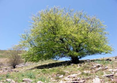 randonnée à l'Irubelakaskoa