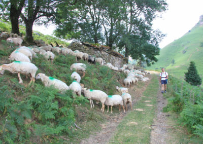 randonnée aux crêtes d'Iparla