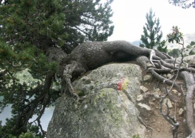 Randonnée aux Encantats