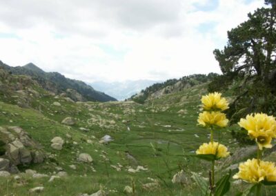 Randonnée aux Encantats