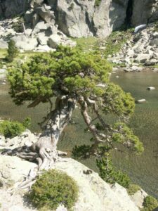 Randonnée aux Encantats