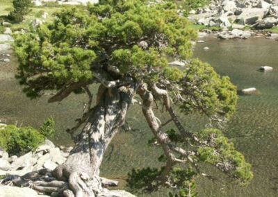 Randonnée aux Encantats