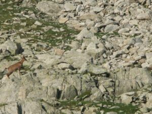 Randonnée aux Encantats