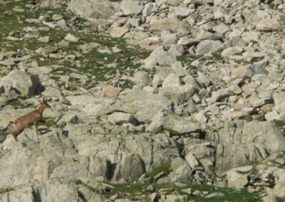 Randonnée aux Encantats