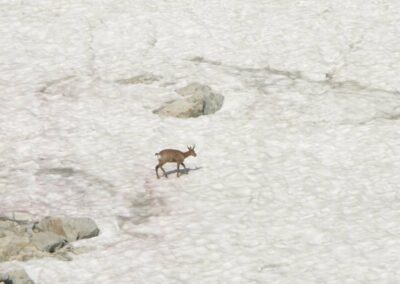Randonnée aux Encantats