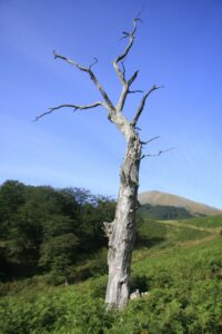 randonnée à l'Autza