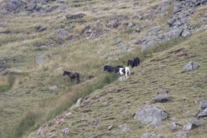 randonnée à l'Autza