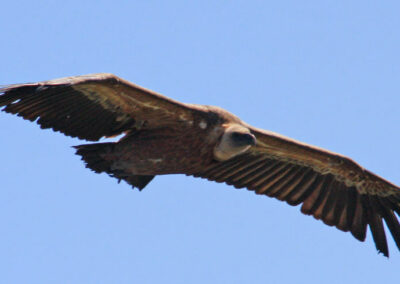randonnée à l'Irubelakaskoa