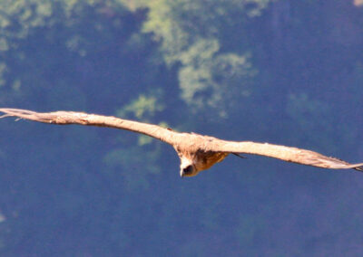 randonnée à l'Irubelakaskoa