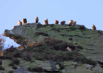 randonnées à la Rhune depuis Sare