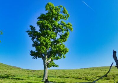 GR 10 - 5ème étape - 5 juin 2013 - de St Etienne de Baigorry à Esterencuby