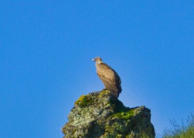 GR 10 - 5ème étape - 5 juin 2013 - de St Etienne de Baigorry à Esterencuby
