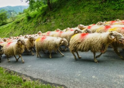 GR 10 - 7ème étape - 7 juin 2013 - de Chalets Pédro à Logibar