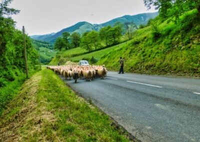 GR 10 - 7ème étape - 7 juin 2013 - de Chalets Pédro à Logibar