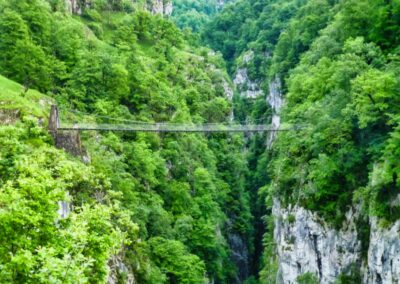 La passerelle d'Holzarte GR 10 - 8ème étape - 8 juin 2013 - de Logibar à St Engrâce