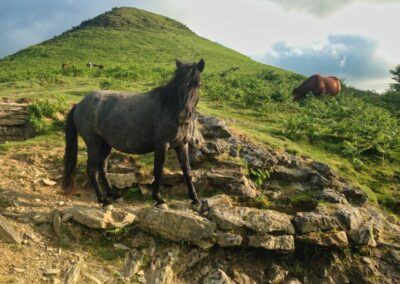 GR10 2014-Jour2 - col des 3 fontaines - col de Zuharreteaco