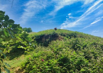 GR10 2014-Jour4 - St Jean Pied de Port - Col d'Irau