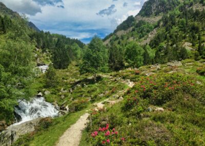 GR10 2014-Jour17 - Luz St Sauveur - Cabane Aygues Cluses
