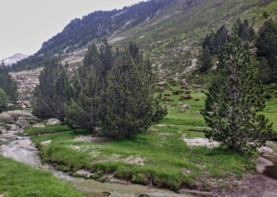 GR10 2014-Jour17 - Luz St Sauveur - Cabane Aygues Cluses