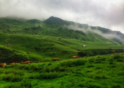 GR10 2014-Jour20 - Germ - refuge d'Espingo
