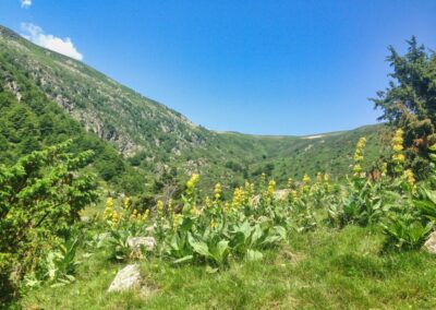 GR10 2014-Jour34 - Col de Grail - cabane de Clarans