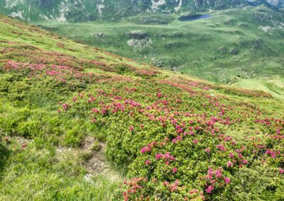 GR10 2014-Jour35 - cabane de Clarans - refuge du Rulhe