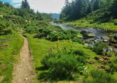GR10 2014-Jour36 - refuge du Rulhe - Merrens les Vals