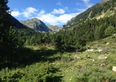 GR10 2014-Jour39- Planes - Mantet